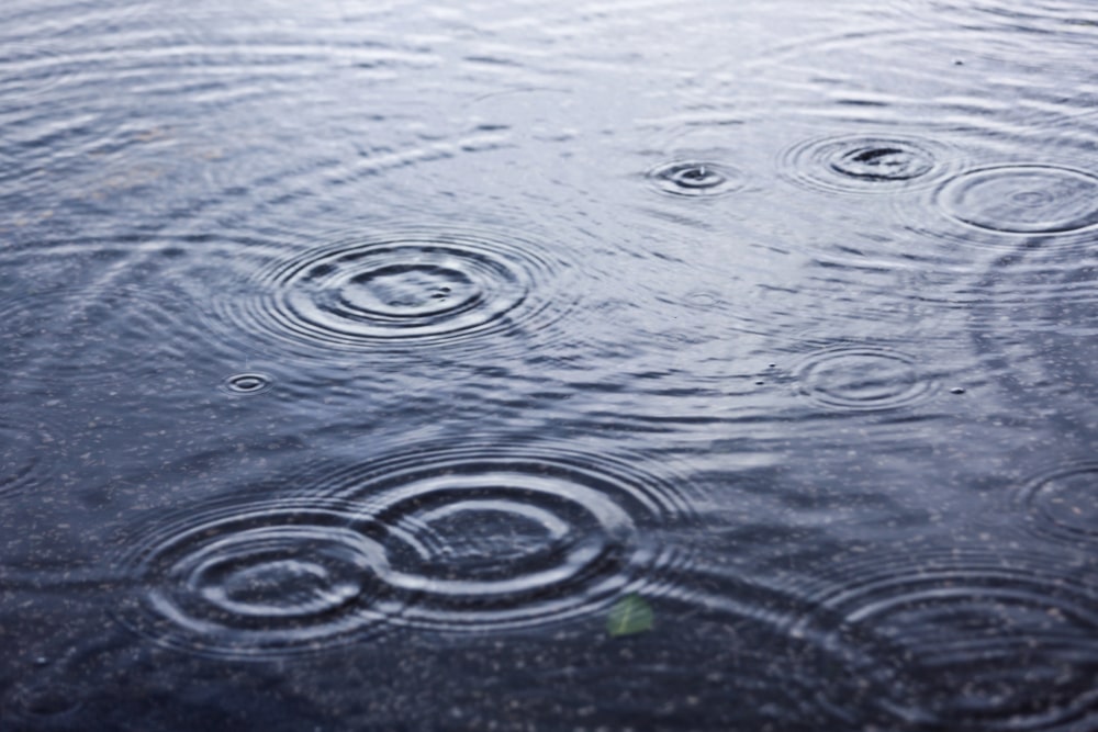 water damage lawyer Delray Beach, FL