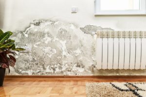 water damage lawyer in Boca Raton, FL